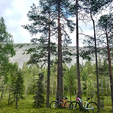 Apartment Jylhaekelo - A Cozy Loghouse In The Heart Of Lapland
